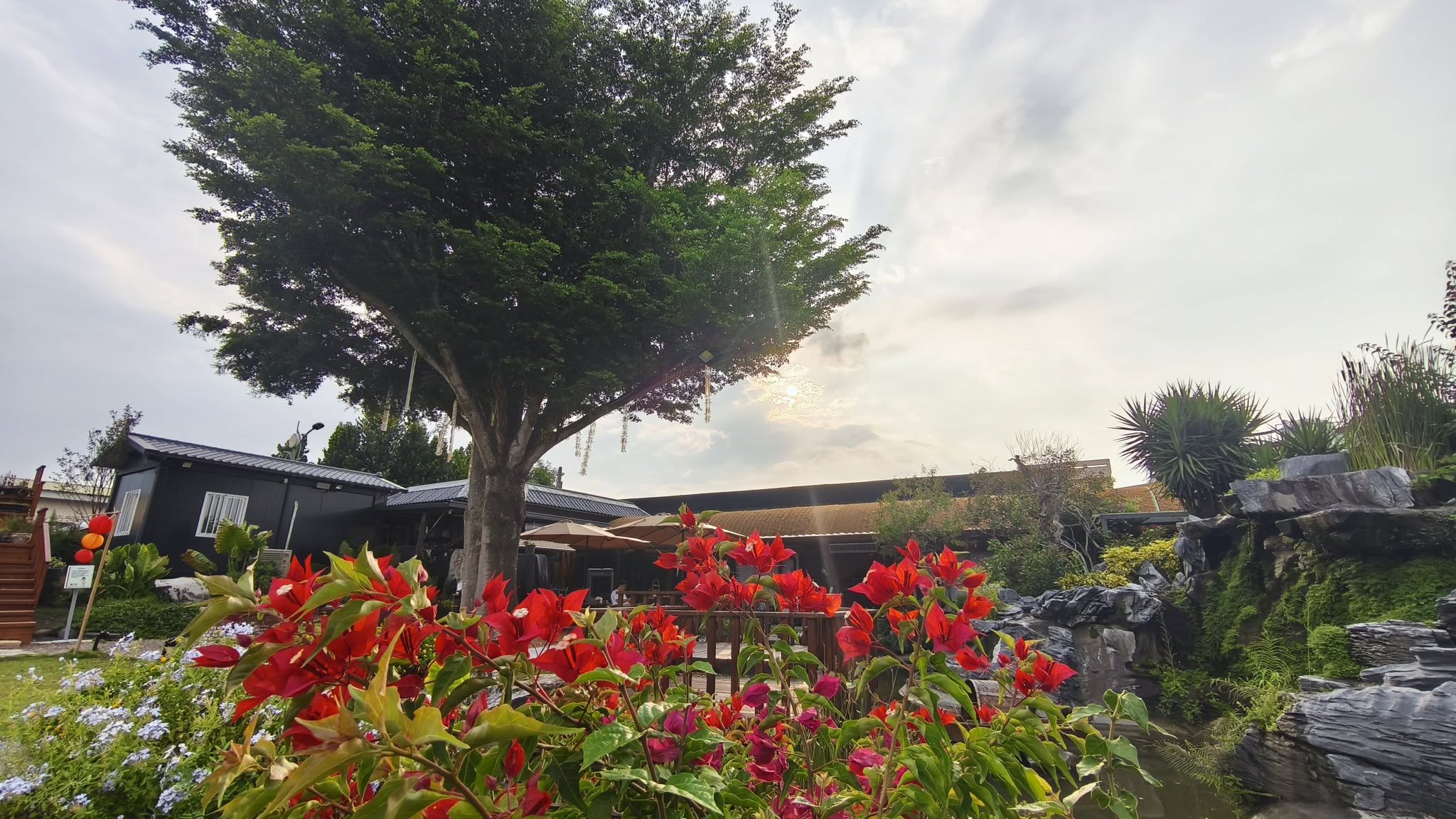 花佈院庭園全景與水景花園